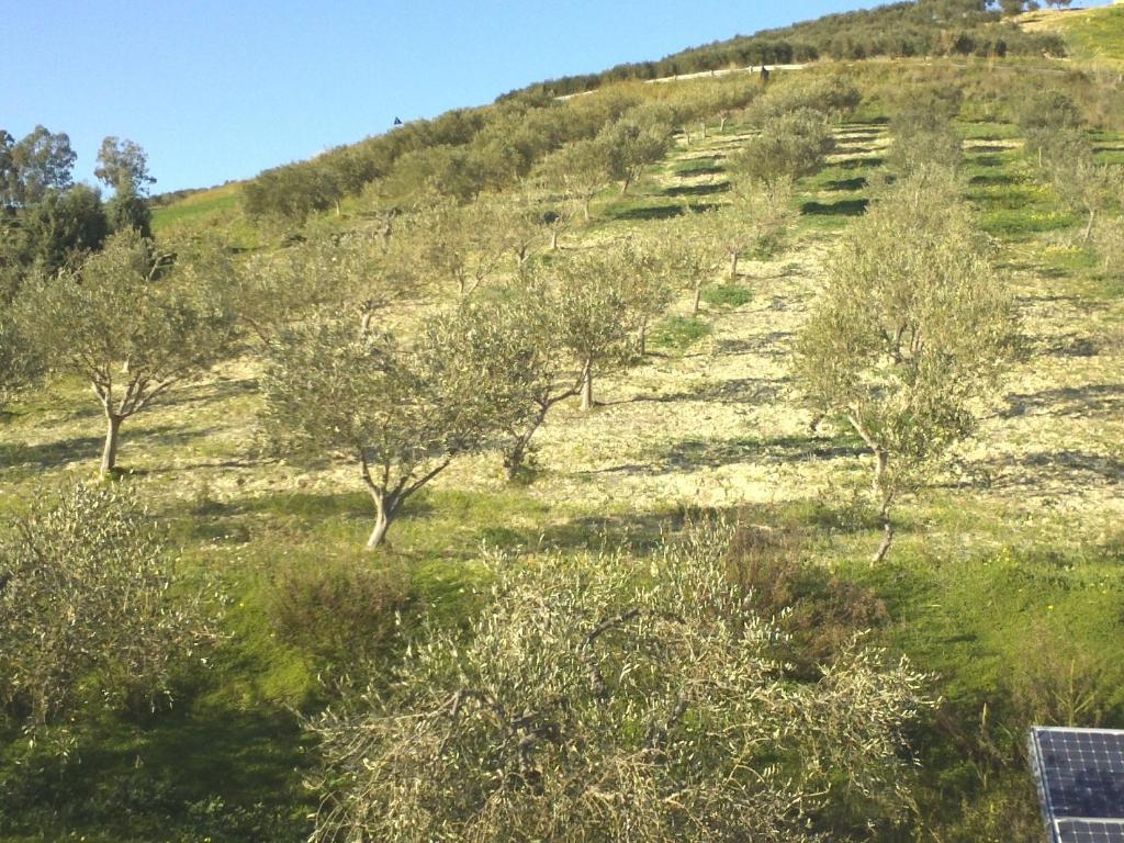 Agriturismo Due Ganee Villa Agrigento Luaran gambar